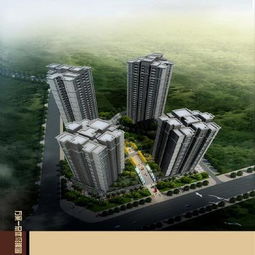 重庆市房地产开发网项目详情查看指南 从入门到精通的全方位解析