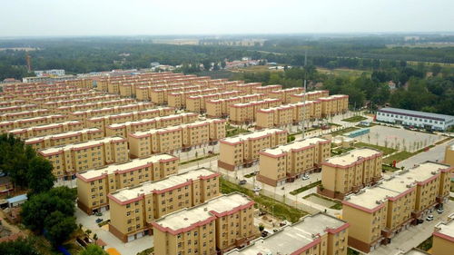 调控优化与市场信心 国常会房地产新策的深意与现实路径